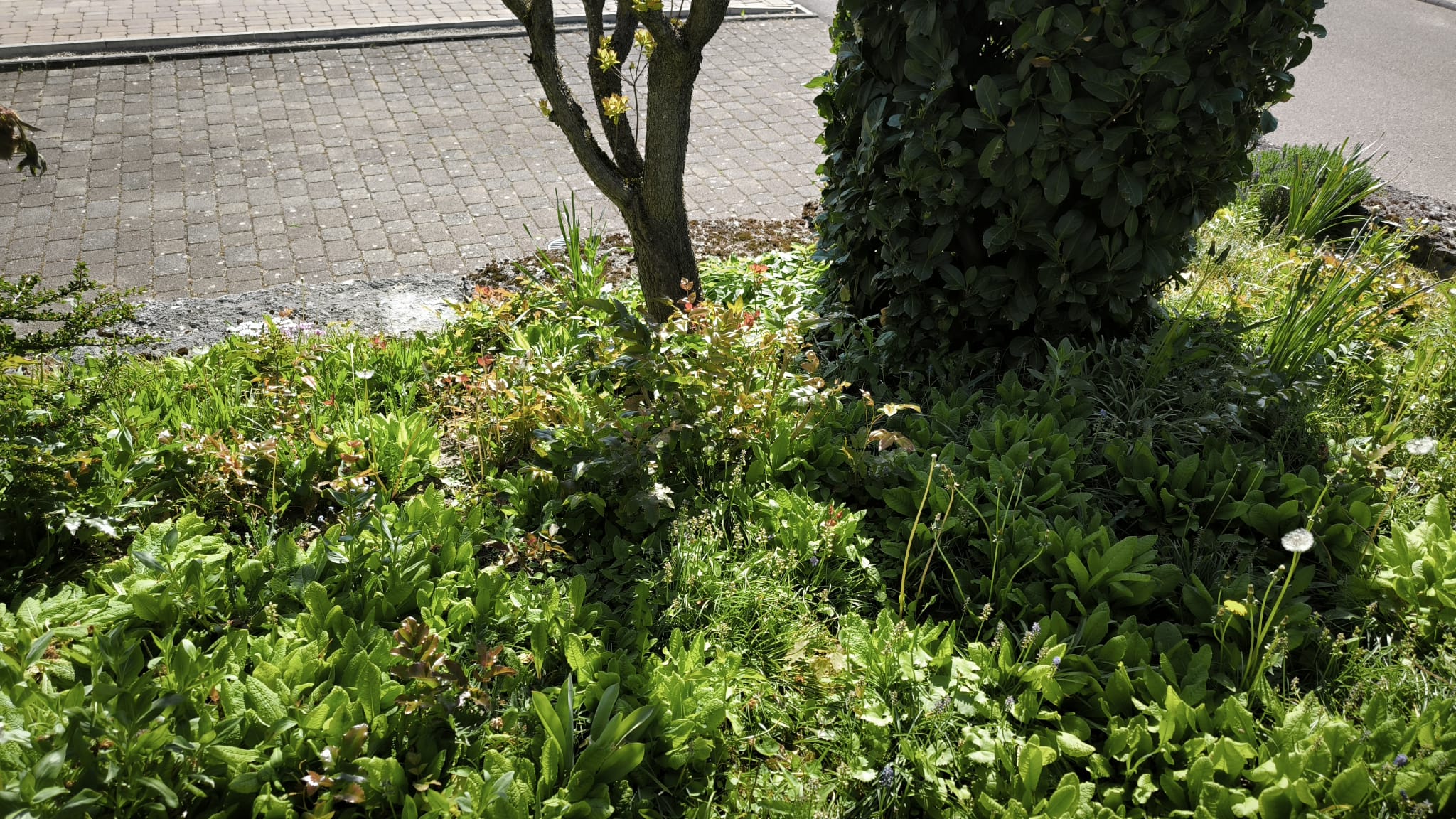 Kunde 1